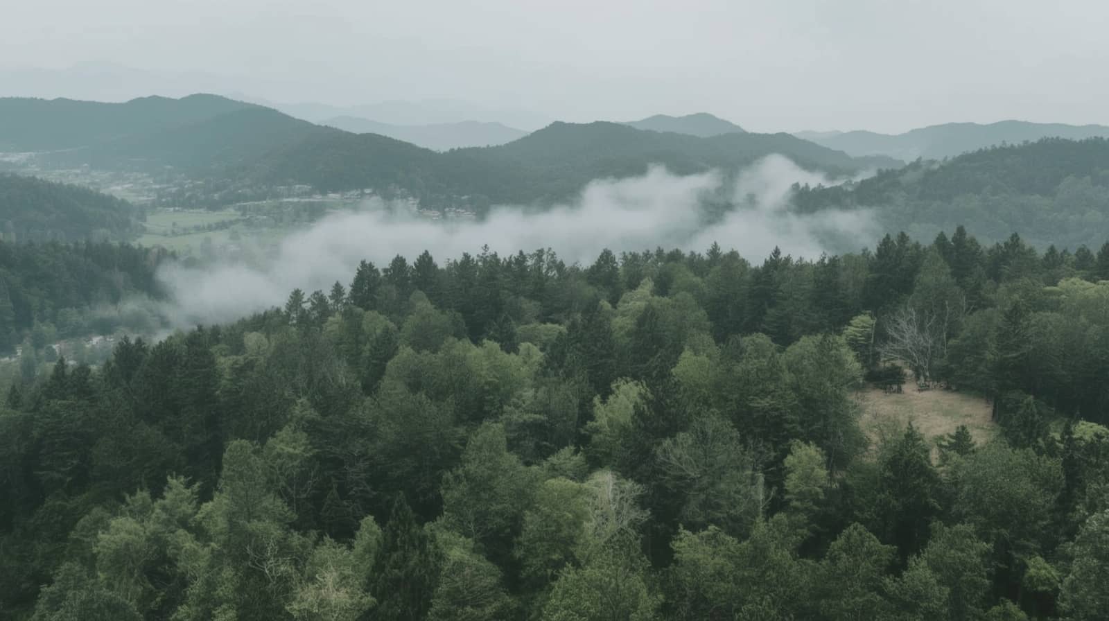 엔피씨글로벌 회사 소개